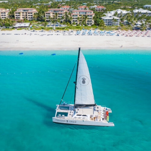 Princess Grace Drone View