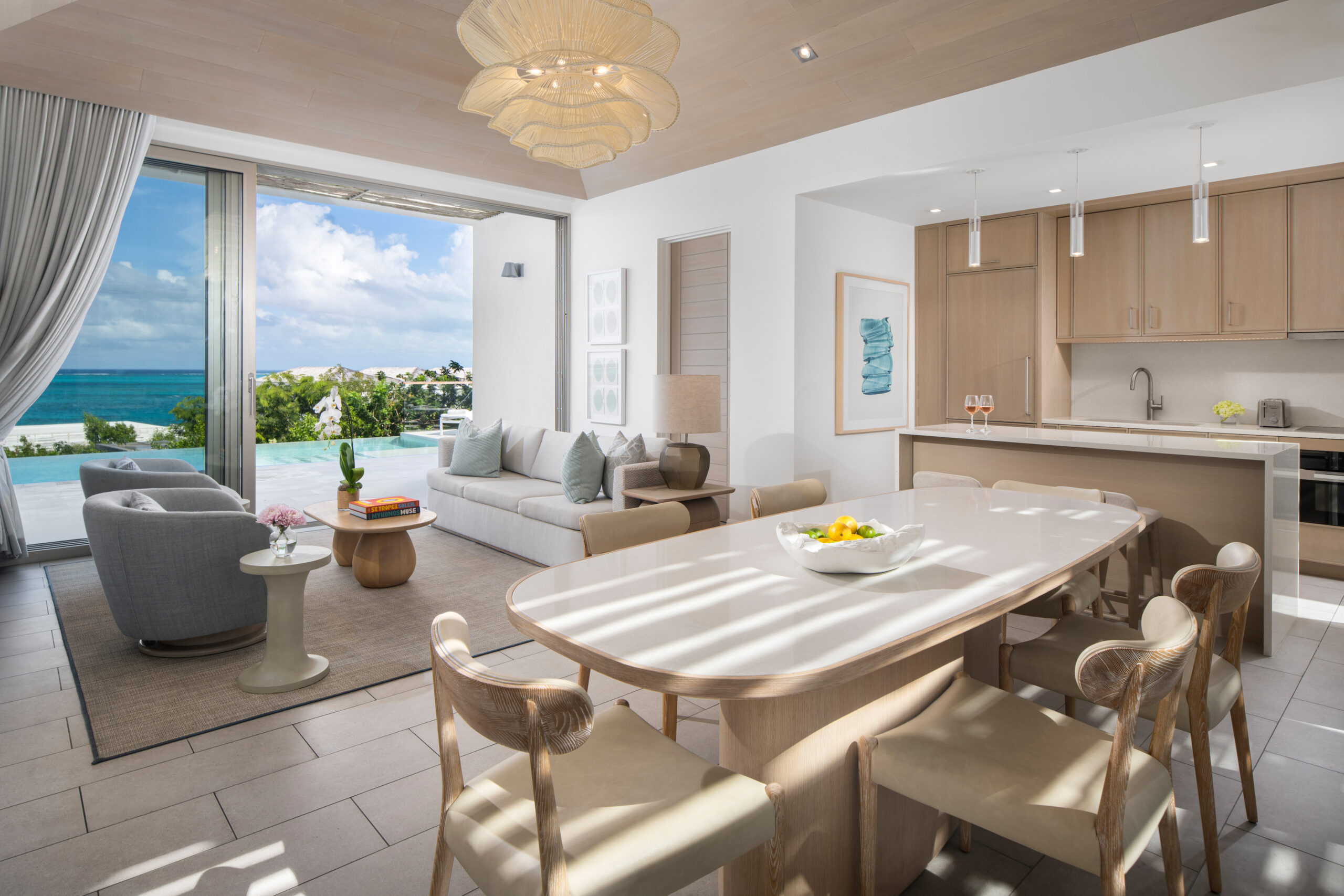 RH V401 Dining, Kitchen, and Living Area